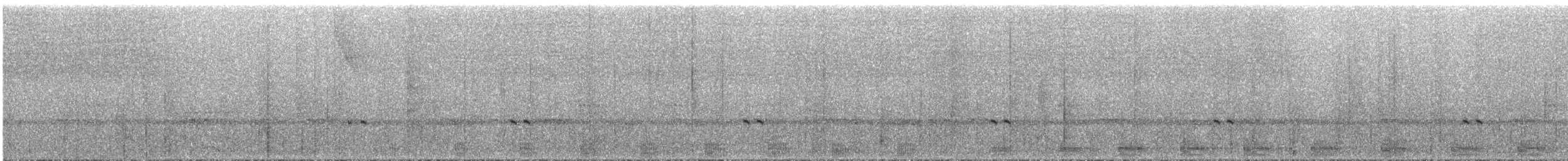 Band-tailed Guan - ML291893