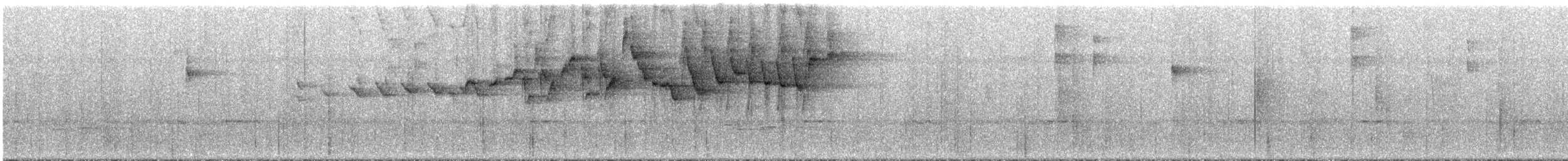 Paruline triligne (meridanus/bessereri) - ML291906