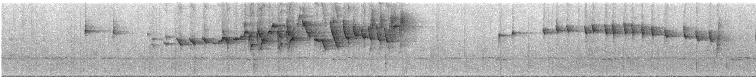 Paruline triligne (meridanus/bessereri) - ML291908