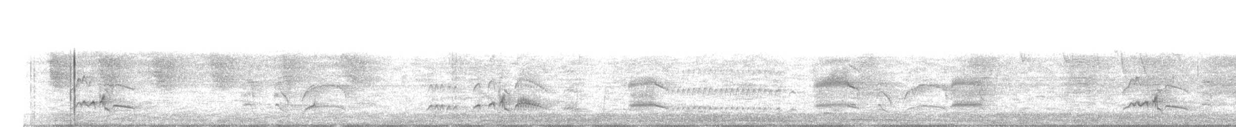 Copetón de Swainson - ML291966021