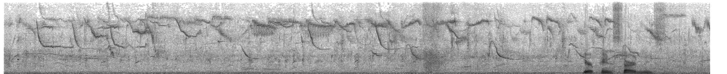 Хар тодол - ML292056281