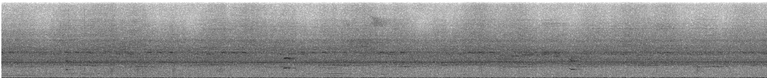 Graubrust-Ameisendrossel - ML292078