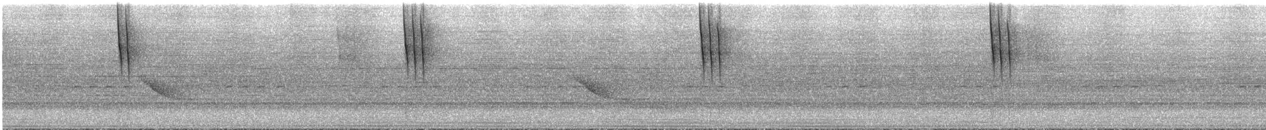 Colibri à queue en ciseaux - ML292084