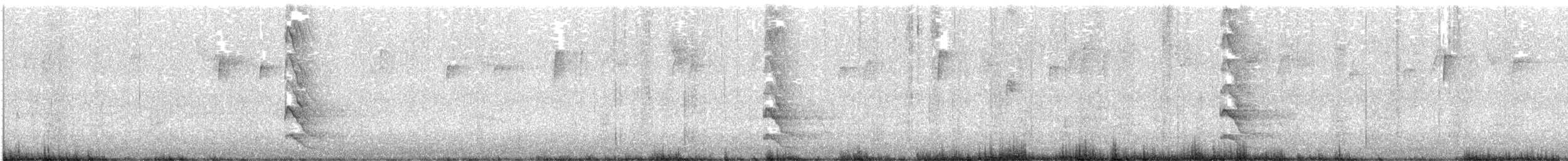 ハシボソキツツキ - ML292108481