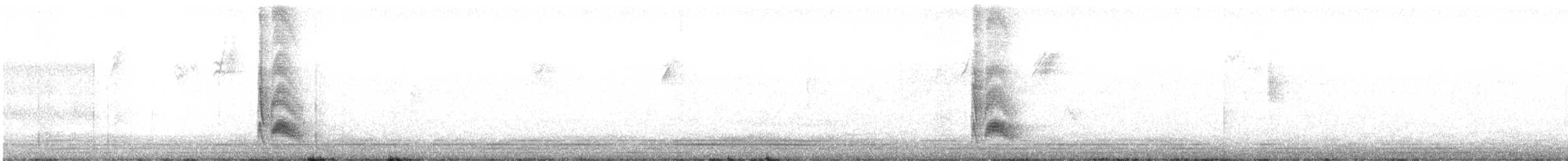 Серогрудый тиранн - ML292126051