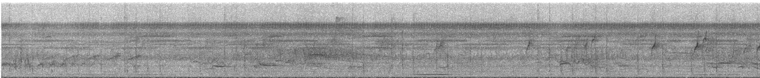 Weißbauch-Zwergspecht - ML292213