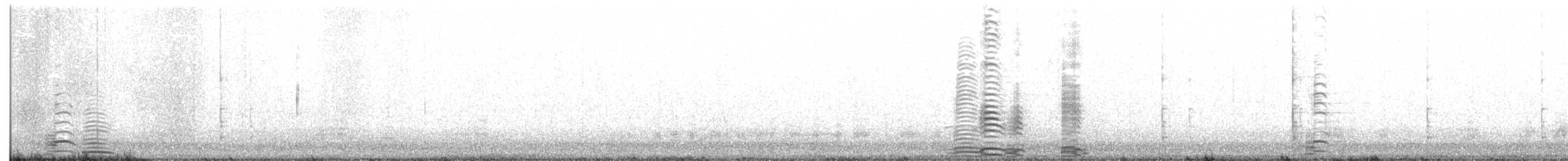 Trumpeter Swan - ML292255111