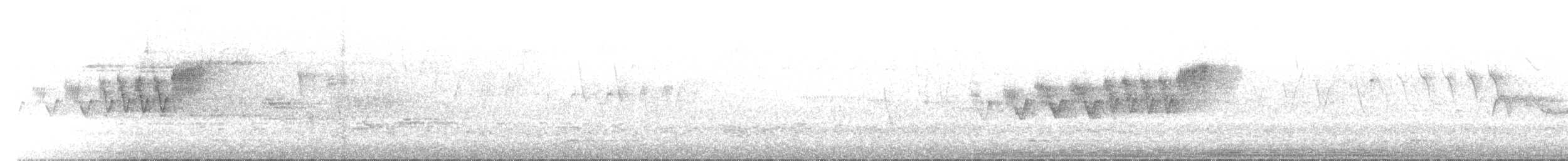 Cerulean Warbler - ML29240341