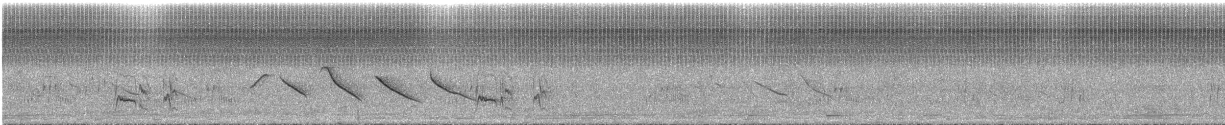 Küçük Kuyruksallayan Tiranı (bahiae) - ML292408