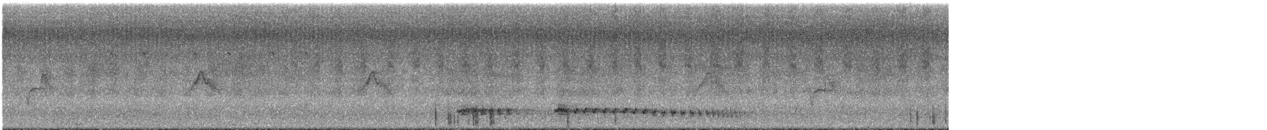 Tinamou à petit bec - ML292409