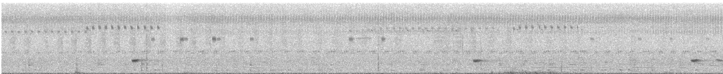 Tinamou à petit bec - ML292411