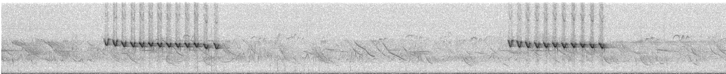 カオジロブユムシクイ（atricapilla） - ML292415