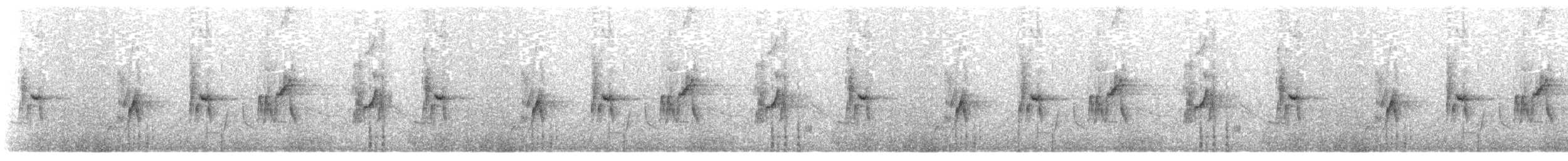Gray-hooded Sierra Finch (minor) - ML292418171
