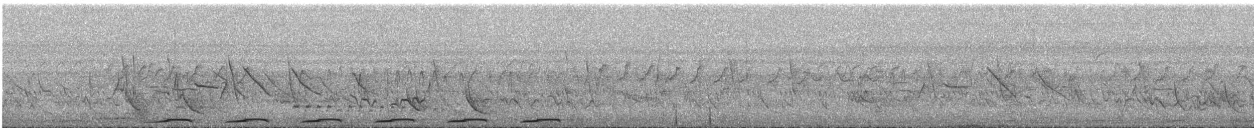 holoubek pikui - ML292419