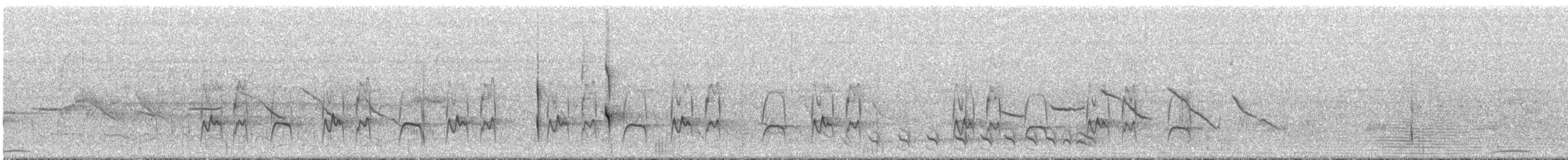 Rabicano Menor (bahiae) - ML292435