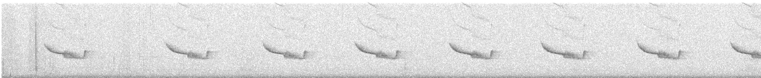 Дрімлюга довгодзьобий (підвид bifasciata/patagonica) - ML292455281