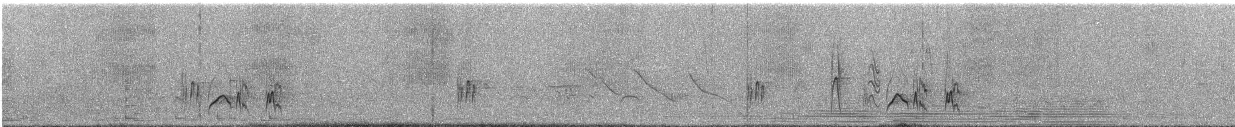 Küçük Kuyruksallayan Tiranı (bahiae) - ML292457