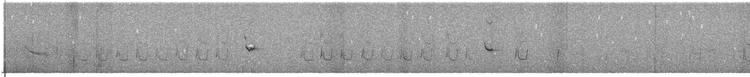 Дрімлюга довгодзьобий (підвид bifasciata/patagonica) - ML292484311