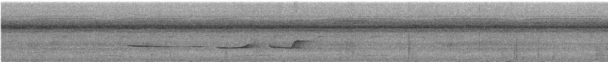 Antriade turdoïde (amazonum) - ML292487351