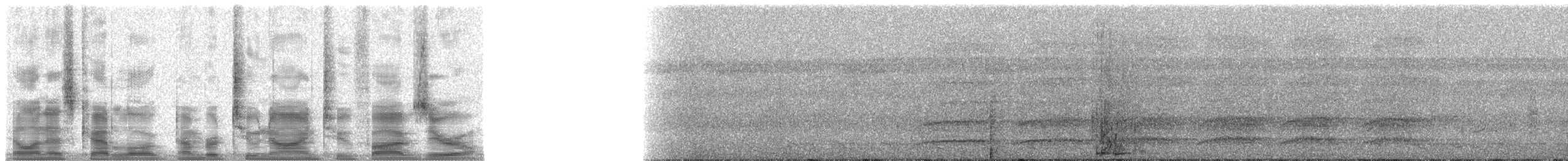 woodpecker sp. - ML29250
