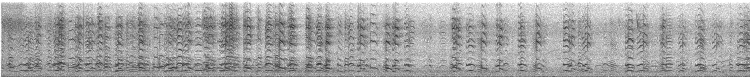 Zwergkanadagans (minima) - ML292526641