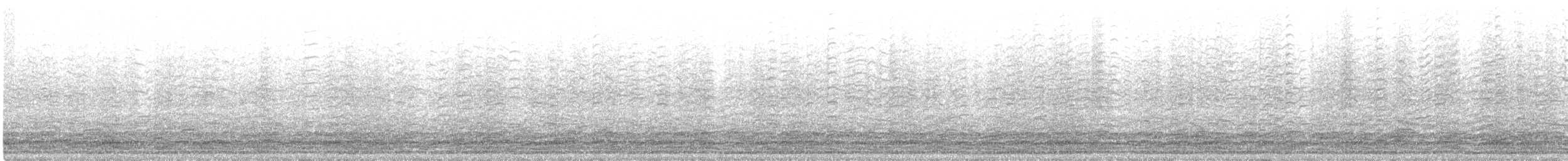 berneška velká (ssp. occidentalis/fulva) - ML292565011