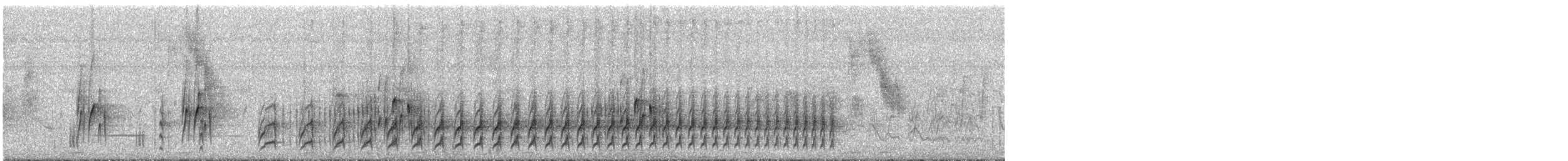 Synallaxe de Hellmayr - ML292576