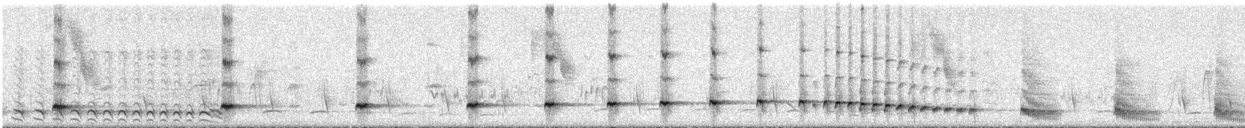 Small-billed Tinamou - ML292581