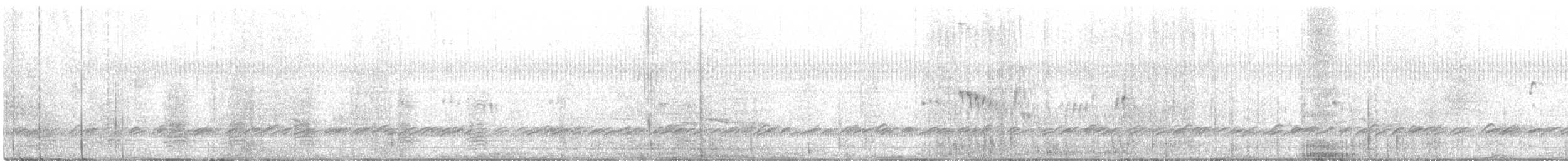 ニシヒメアマツバメ - ML292618321