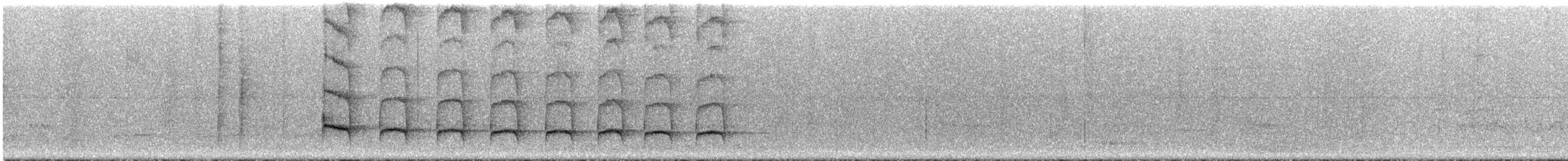 Mégasittine du Brésil - ML292633