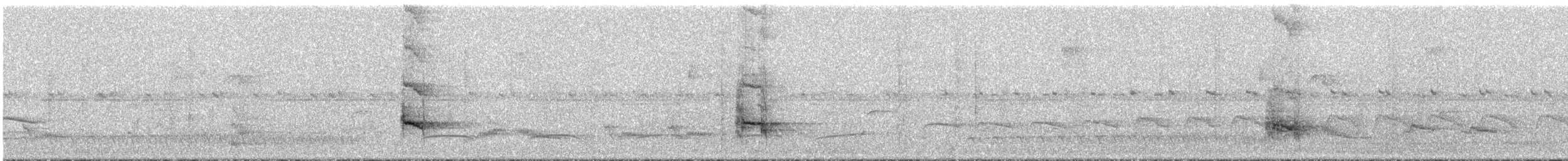 Mégasittine du Brésil - ML292634