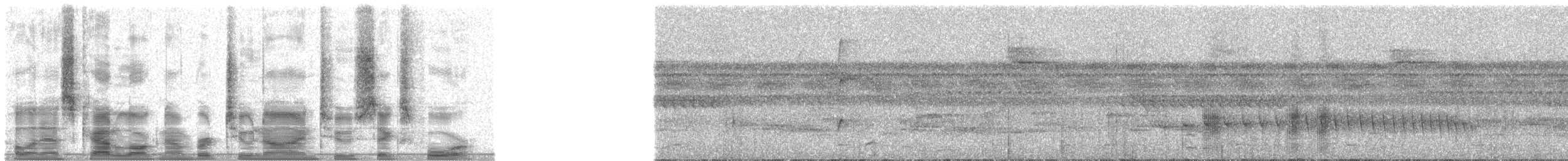 Black-tailed Tityra (Western) - ML29264