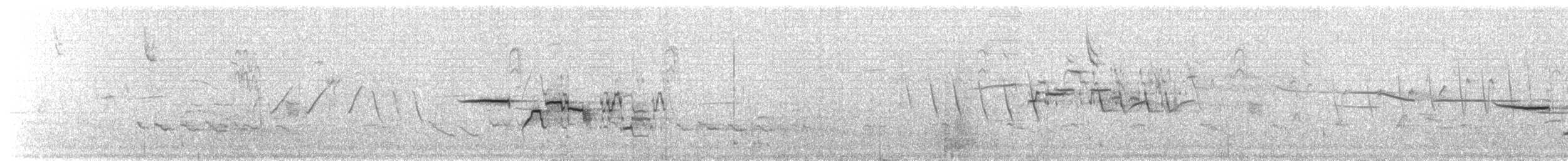 Дрізд-короткодзьоб плямистоволий - ML292646811