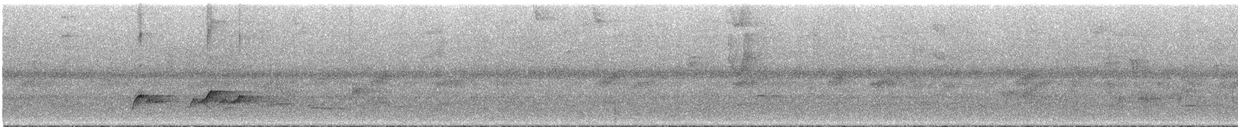 Манакін арарипський - ML292651