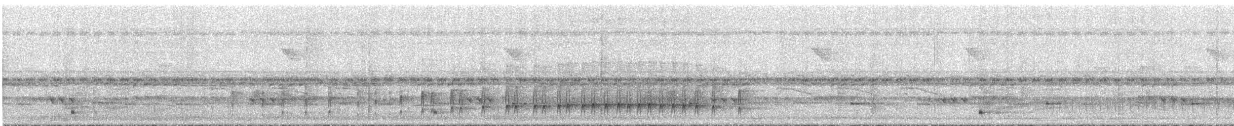 Mégasittine du Brésil - ML292665