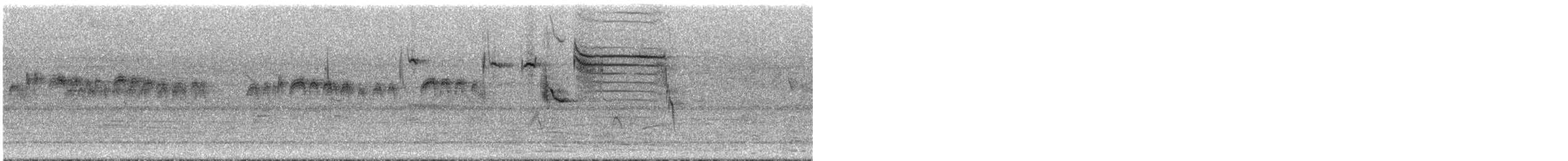 White-browed Meadowlark - ML292729