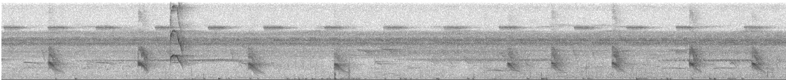 Bauchflecken-Ameisenvogel - ML292775081