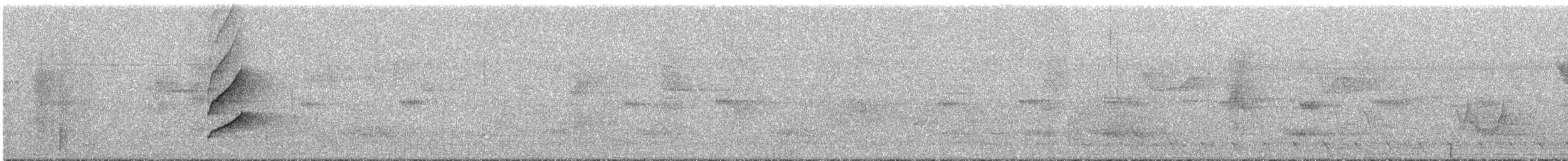 Пестрогрудый тоди-тиранн - ML292782