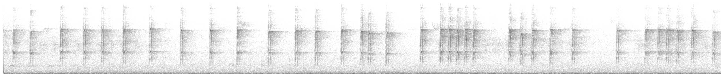 Pico Pubescente (pubescens/medianus) - ML292819851