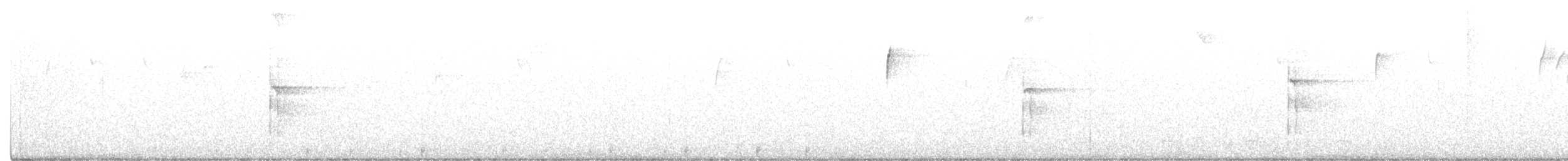 Pico Velloso (grupo villosus) - ML292819891