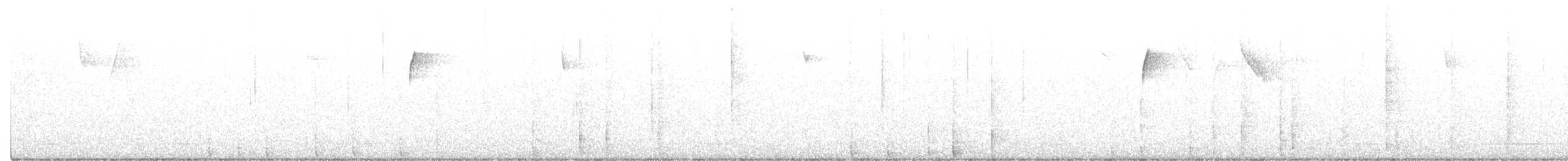 Pico Velloso (grupo villosus) - ML292819901