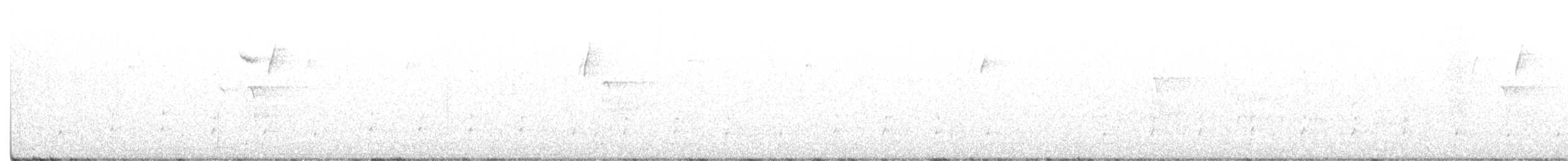 Carpintero Escapulario (Dorado) - ML292819931