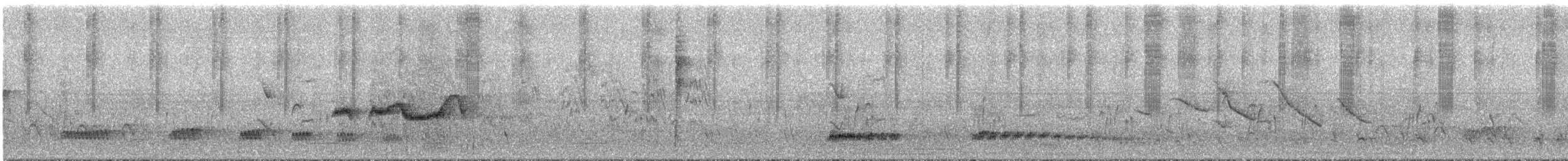 Tinamou à petit bec - ML292851