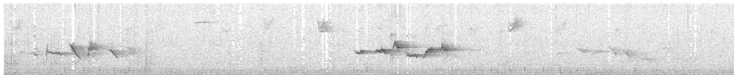 ゴマフスズメ（iliaca／zaboria） - ML292906811