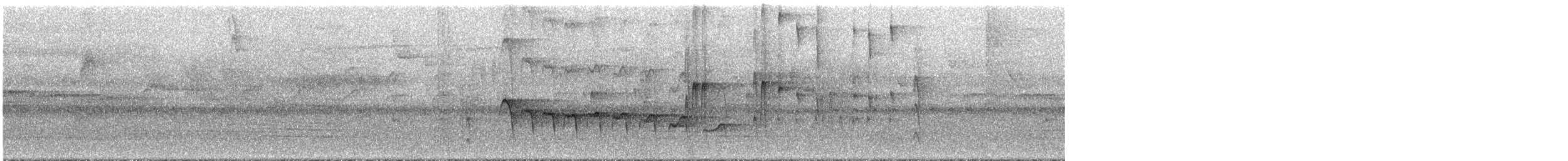 Fleckenbauch-Baumsteiger - ML292942