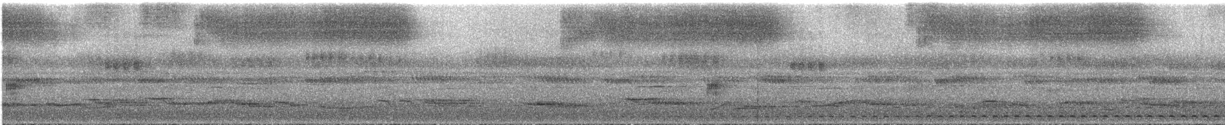 Black-capped Screech-Owl - ML292970