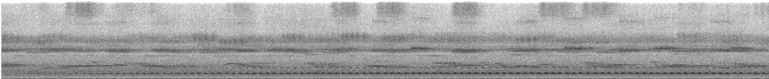 Black-capped Screech-Owl - ML292971