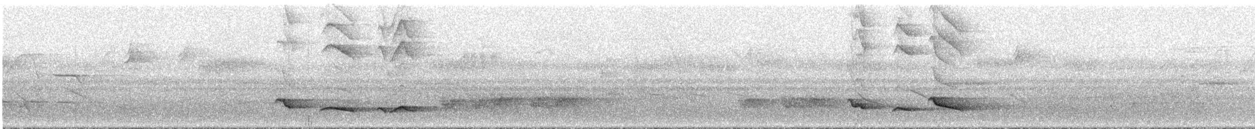 Зернолуск бразильський - ML292996
