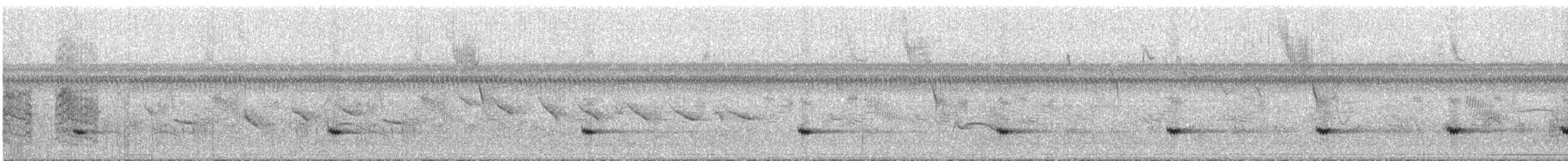 Tinamou à petit bec - ML293068