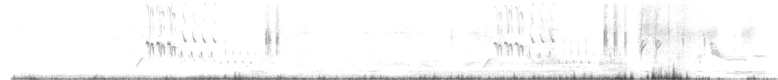 White-browed Wagtail - ML293087461